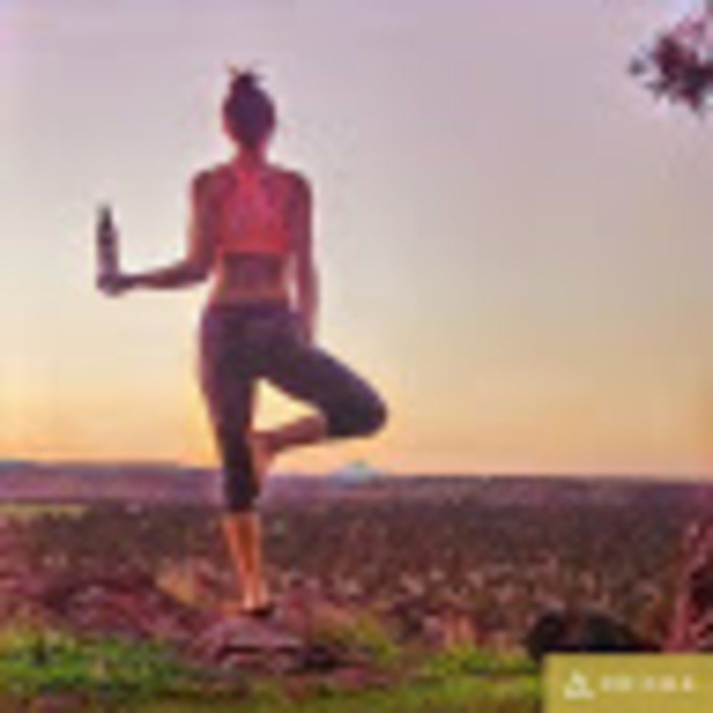 Meet your Posher, Shea